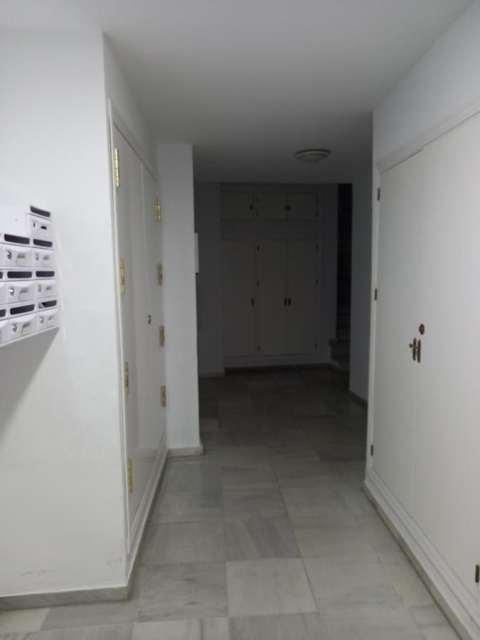 Calle Ancha Daire Cadiz Dış mekan fotoğraf